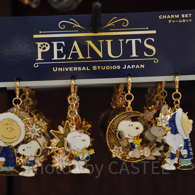 チャームセット