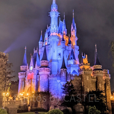 他の作品も一部ご紹介！