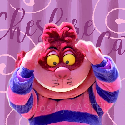 チェシャ猫のスペル