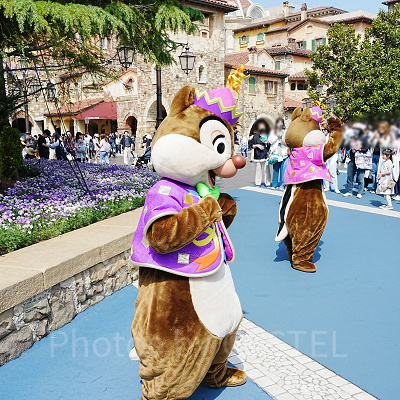 グリーティング中のチップとデール