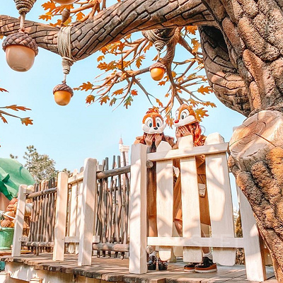 チップとデールのツリーハウス