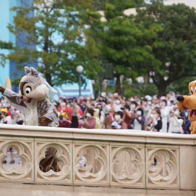 雨でも元気いっぱいのチップと口元は濡れてしまうプルート