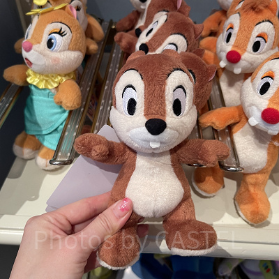 チップポージープラッシー