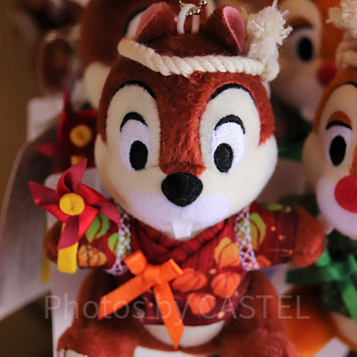 チップの夏ぬいば