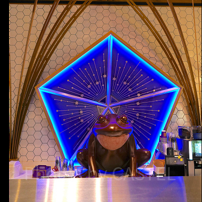 カウンター奥にいる蛙チョコレート