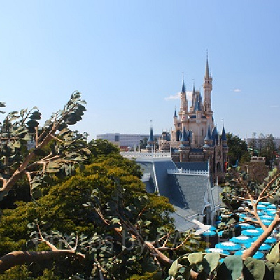 スイスファミリー・ツリーハウスから臨むシンデレラ城