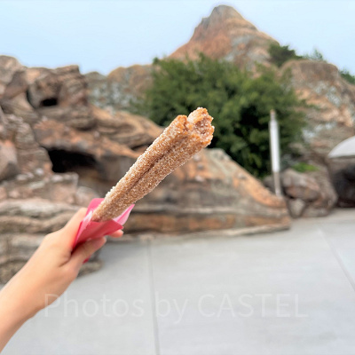 シナモンのチュロス