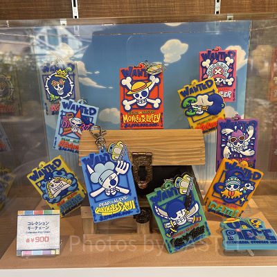 コレクションキーチェーン（USJワンピースグッズ）