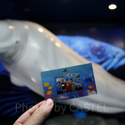 シロイルカと記念撮影