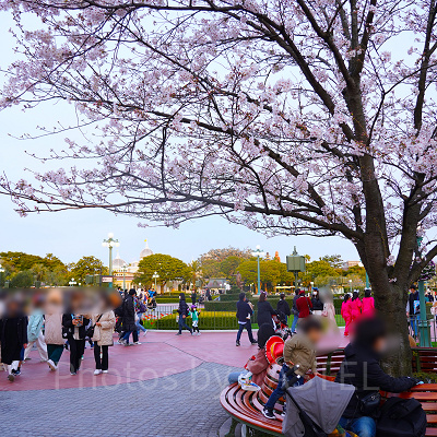 ディズニーランドの混雑状況（2022年4月2日撮影）