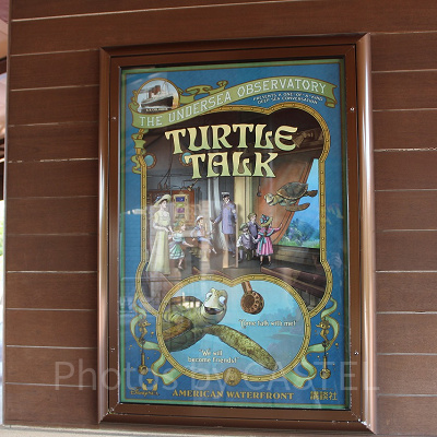 タートル・トークの内容と流れ