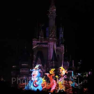 カントリーベア