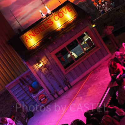 クラッシュ・コースター