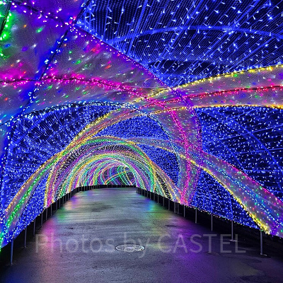 クロッシング・サファイヤ・パサージュ（写真は2021年度開催のよみうりランドイルミネーションより）