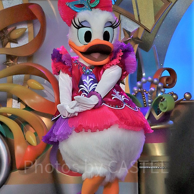 デイジーダックのプロフィール