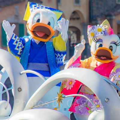 デイジークイズ：上級編