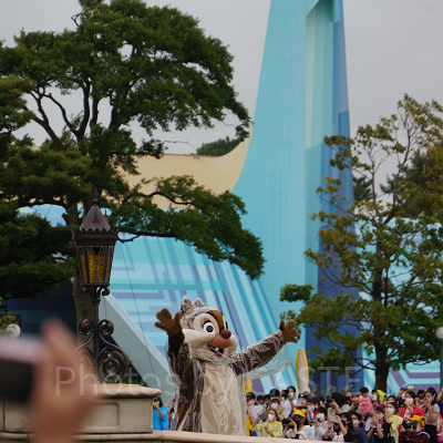 真正面だけではないところにもごあいさつしてくれているデール