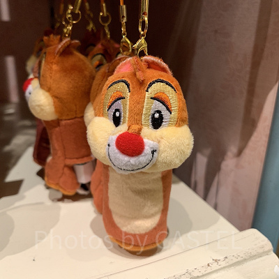 デールリップケース