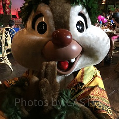 ポリネシアンレストランのデール