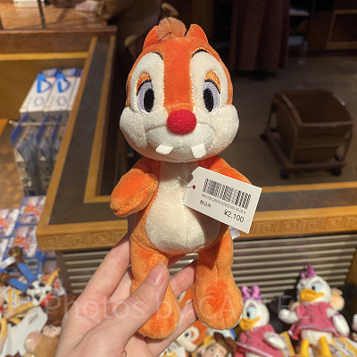 デールポージープラッシー