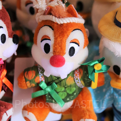 デールの夏ぬいば