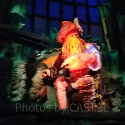 デイヴィ・ジョーンズ：ビル・ナイ（吹き替えキャスト：大塚芳忠）