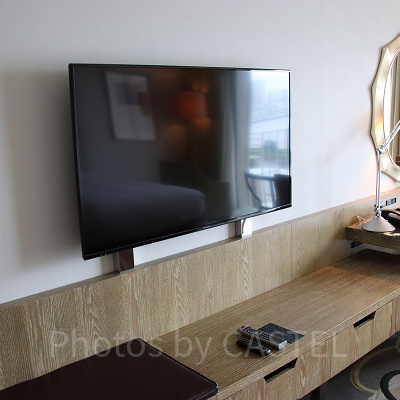 デラックスルームのテレビ