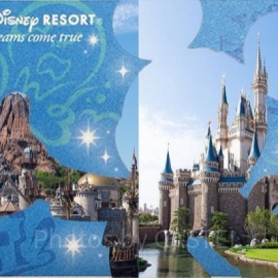 マルチデーパスポートのデメリット①