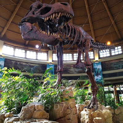 ディスカバリー・レストラン