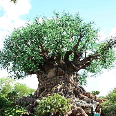 ディズニー・アニマル・キングダム