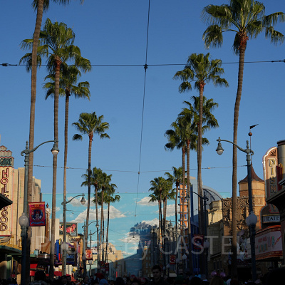 ディズニーカルフォルニアアドベンチャー：風景