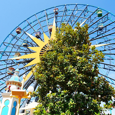 ディズニーカルフォルニアアドベンチャーのアトラクション：ピクサー・パル・ア・ラウンドはスウィングありとなしの2バージョンがある！