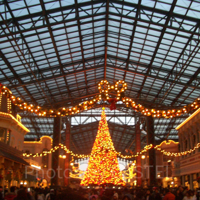 ディズニー・クリスマス2020