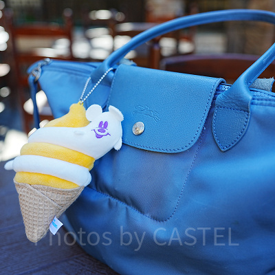 ディズニーデートの持ち物