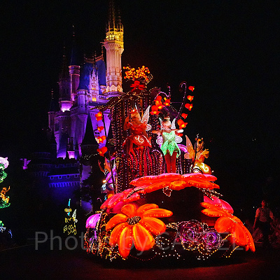 ディズニー・フェアリーズ