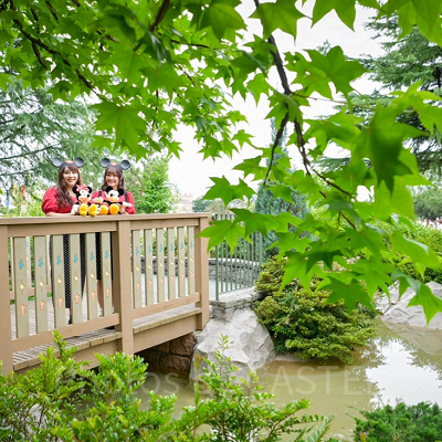 2020年7月のディズニー