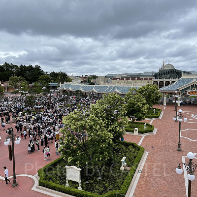 ディズニーは入場制限を設けて運営中！