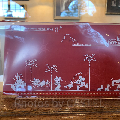 ディズニーのマスクケース（スーベニア）
