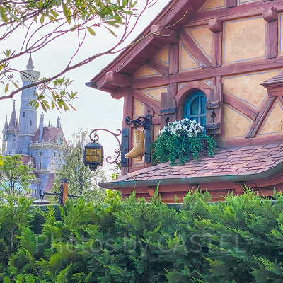 ディズニー新エリア