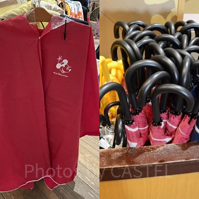 雨の日のディズニーはカッパ？傘？それぞれのメリットとデメリットも◎