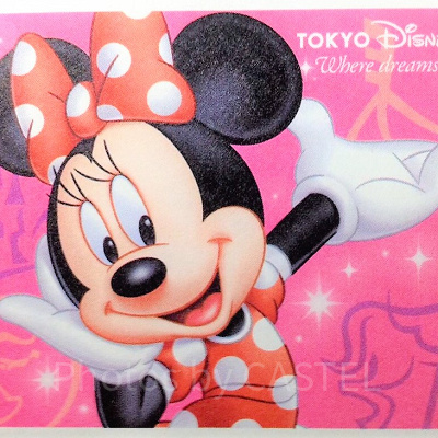 ディズニーパスポート