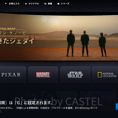 ディズニープラス：年齢制限表示