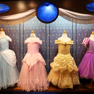 ディズニープリンセスのドレス