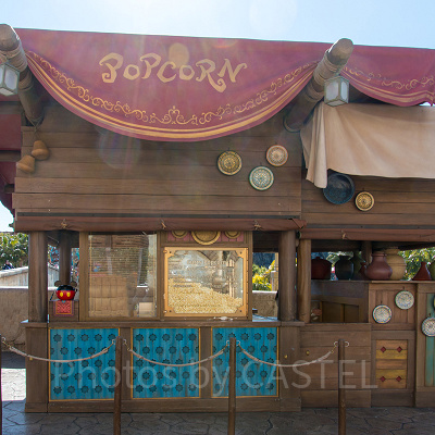 ディズニーシーのスーベニアポップコーンケース