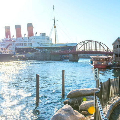 ディズニーシーのお土産お菓子