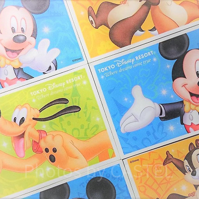ディズニーのチケット