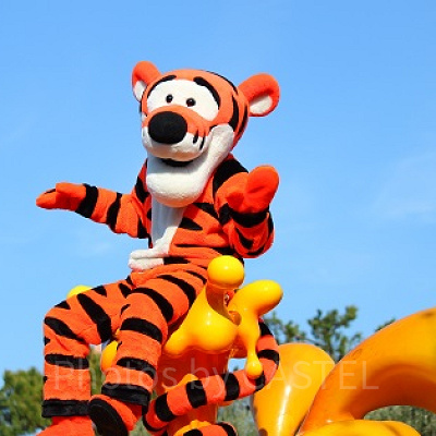 ディズニーのトラキャラクイズ