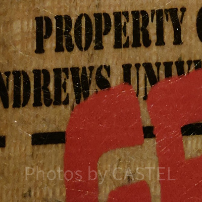 ディズニートレークイズ