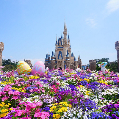 四季折々の花が咲き乱れるディズニーは本当に夢の国♡