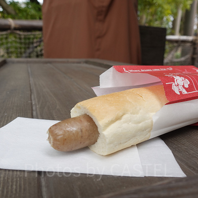 ディズニー冬フード：ユカタンソーセージドッグ